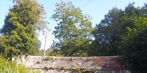 Evening Canal Paddle