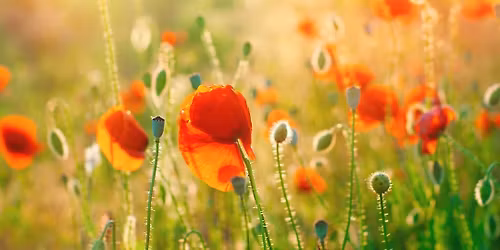 New Year Yin Yoga: half-day workshop for women