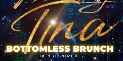 Tina Turner Bottomless Brunch!!\ud83c\udf7e