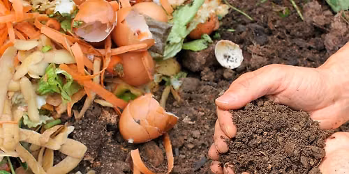 Silver Maples: Intro to Composting