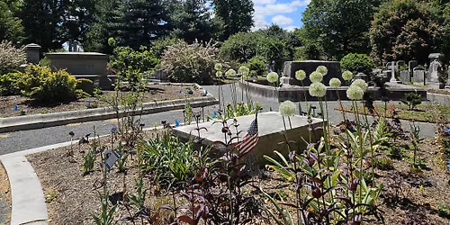 Cemeterrarium Workshop