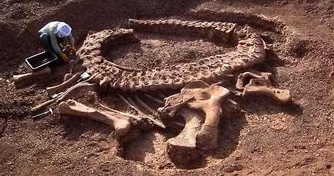 Did Dinosaurs Taste Like Chicken? \ud83e\udd96 \ud83c\udf57