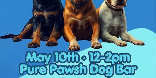 Adoption Event with Animal Rescuers Without Borders