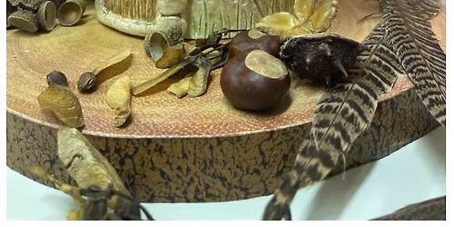 Pottery Fairy House workshops NEW DATES (age 16 yrs upwards) suitable for complete beginners