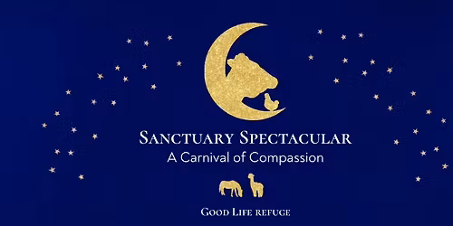 Sanctuary Spectacular Gala