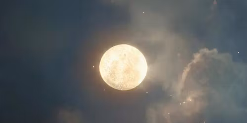 Lotus Light Reiki Experience