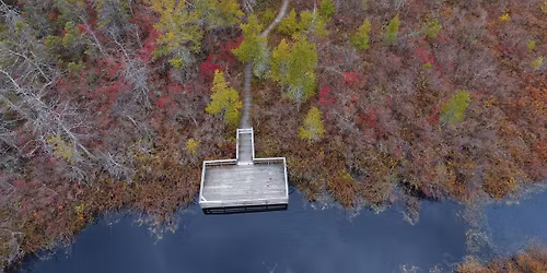 Bog Birding Experience