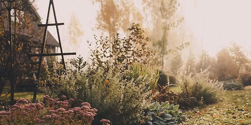 Fall Gardening: What to Do and Not to Do at Division