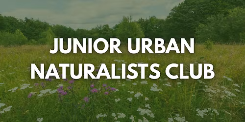 The Forest & It's Creatures