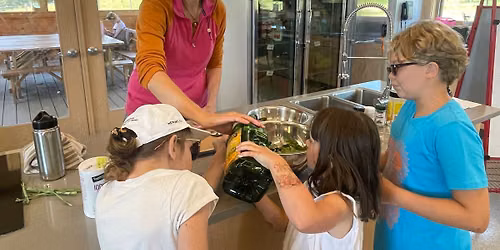 Summer Garden-to-Table Series: Making Herbed Butter & Homemade Tortillas