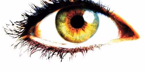 Formation AcuNova et acupuncture oculaire \u00e0 Fribourg 