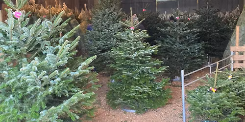 Christmas Barn Opens