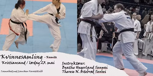 Kvinnesamling - med fokus p\u00e5 fullkontakt kumite 