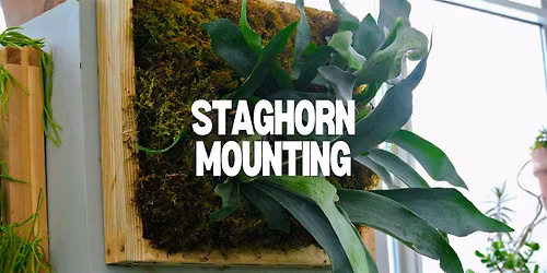 Staghorn Mounting Class