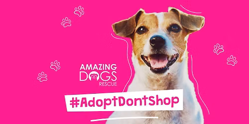 Sparks, NV - Amazing Adoption Event