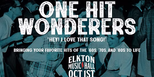 One Hit Wonderers: Playing hits of 60's 70's 80's
