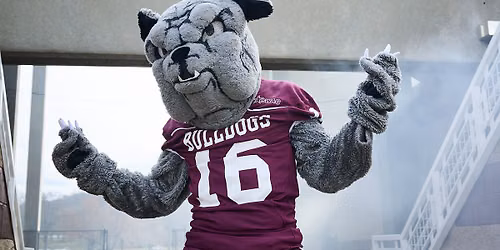 Alabama A&M Bulldogs vs. Howard Bison