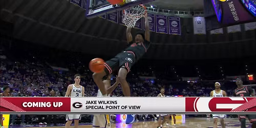 Georgia Bulldogs vs. LSU Tigers
