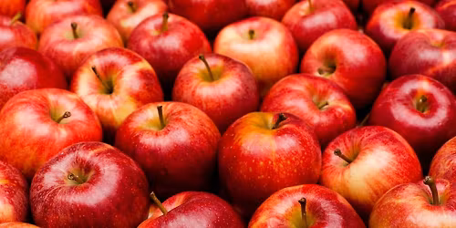 Georgia Peach Truck - Jacksonville, FL @ Philips Garden Store