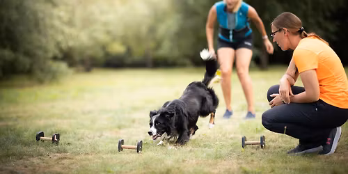 Seminarium obedience z Klaudi\u0105 Szyma\u0144sk\u0105 \ud83d\udd25