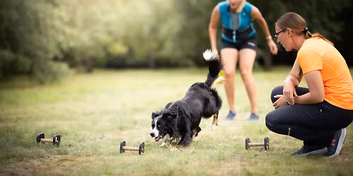 Seminarium obedience z Klaudi\u0105 Szyma\u0144sk\u0105 \ud83d\udd25