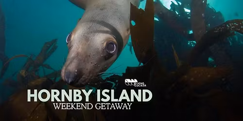 Hornby Island Weekend Getaway