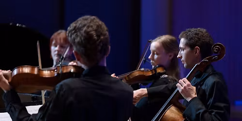 Violinaften