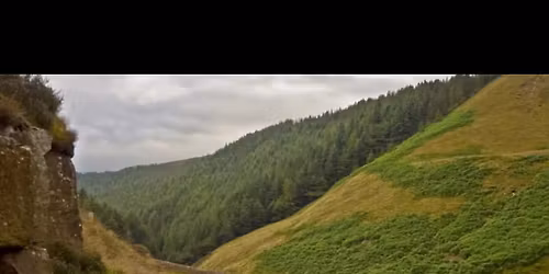 SNAKE PASS\ud83d\udc0d 