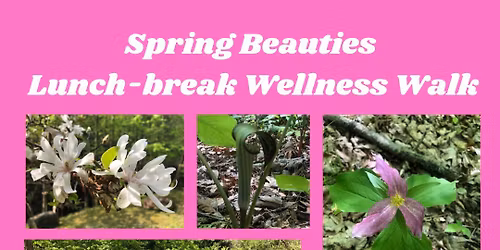 Spring Beauties Lunch-break Wellness Walk