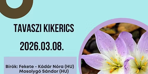 Tavaszi Kikerics Hoopers Verseny - Tavaszi Kikerics Hoopers Competition