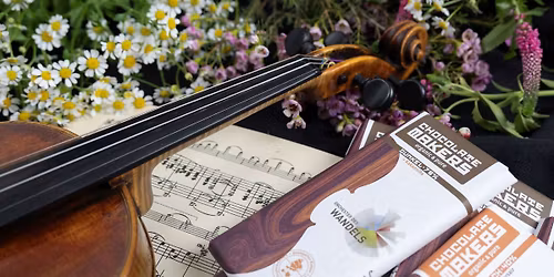 MEHR MUSIK - UMWELTKONZERT