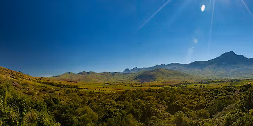 MEHR MUSIK - UMWELTKONZERT