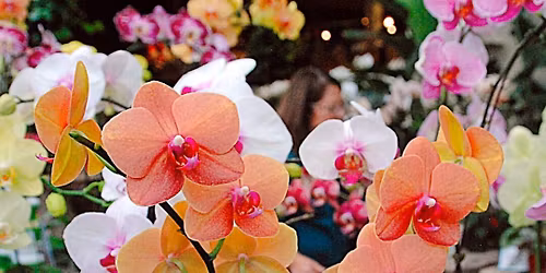 The Moth: Family Matters