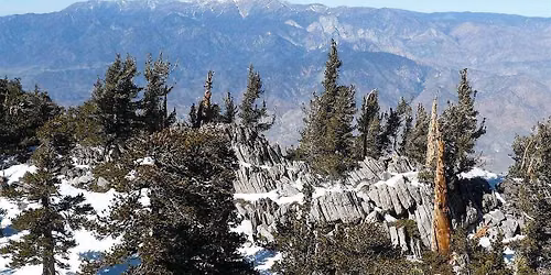 Mt. San Jacinto  Summit, Up By Trail,  Adventure Route Back.