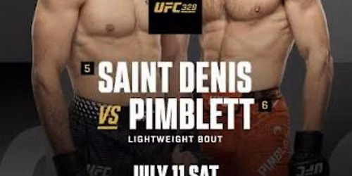 UFC 329