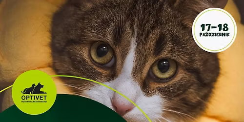 OptiSkill- OKULISTYCZNA CHIRURGIA REKONSTRUKCYJNA- III edycja 