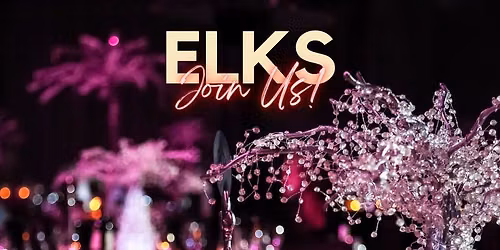 Annual Charity Ball | Scottsdale Elks Lodge #2148