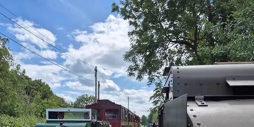 Buzzrail Diesel Gala