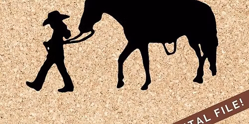 Saddle Games Series #4