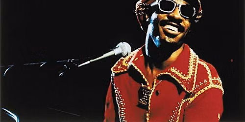 The Stevie Wonder Edition Of Paint & Potions