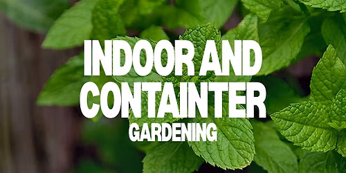 Indoor and Container Gardening 101 w\/ Cultivate The City