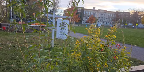 Come visit for the Hamburg Garden Walk