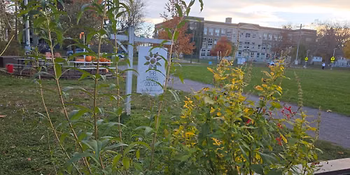Come visit for the Hamburg Garden Walk