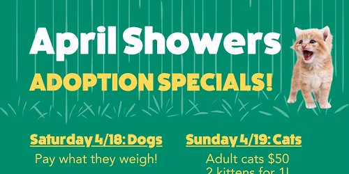 April Showers Adoption Specials!