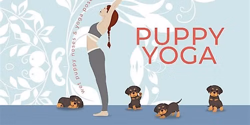 Puppy Yoga With The Crawford County Humane Society