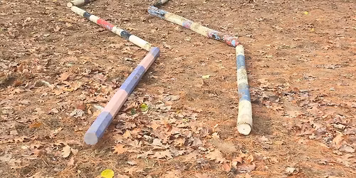 Trail clinic..Pole wrk..