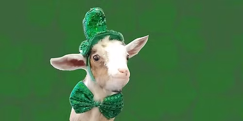 Irish Heritage Night