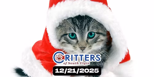 \ud83d\udc31 Sunday, December 21 \u2013 \u201cHome for the Holidays\u201d