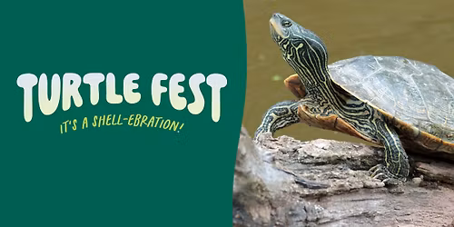 Turtle Fest 2026