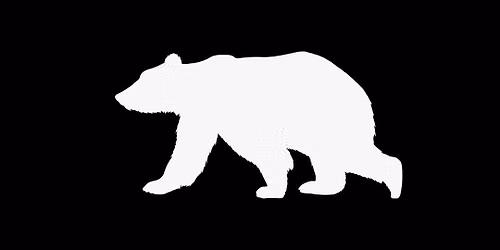 Bearwise Talk